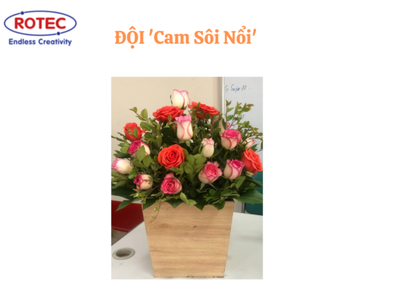 Doi-cam-soi-noi